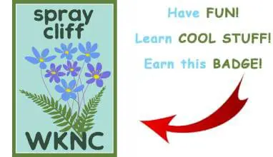 Have fun! Learn cool stuff! Earn this badge!