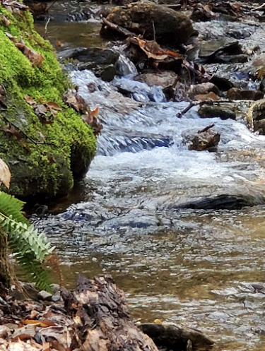 Looking Glass Falls
